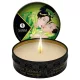 Shunga - masszázsgyertya - zöld tea (30 ml)