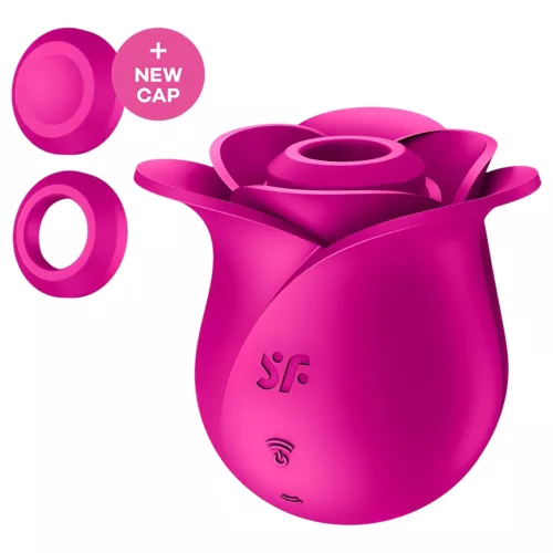 Satisfyer Pro 2 Modern Blossom - léghullámos csiklóizgató (pink)