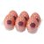 TENGA Egg Cone Stronger - tojás maszturbátor (6db)