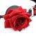Master Series - rózsás, szilikon szájpecek (piros-fekete)