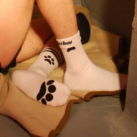 Socks Puppy Sk8terboy – stílusos, laza zokni kedvenceknek