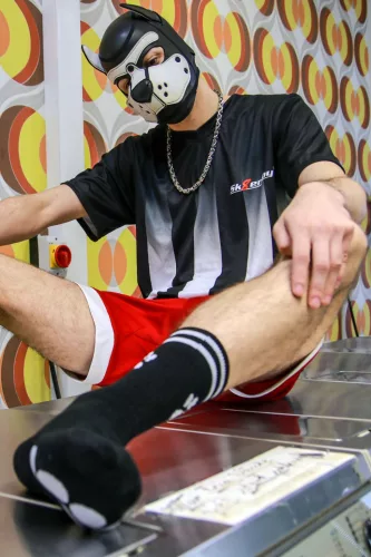 Fekete Sk8erboy Kutyás Zoknik – stílusos kényelem