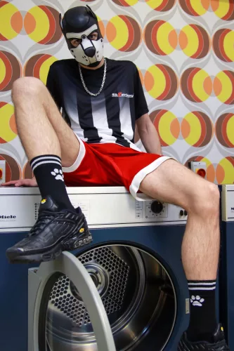 Fekete Sk8erboy Kutyás Zoknik – stílusos kényelem