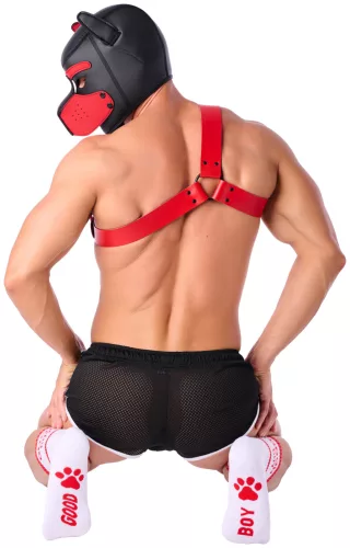 Good Boy zokni – stílusos fehér-piros kombinációban