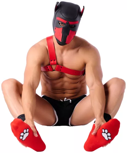 Paw Kinky Puppy – érzéki vörös zoknik