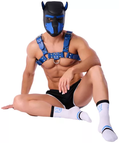 Suck University Socks – stílusos zokni szenvedélyhez