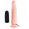 BAILE – élethű pénisz maszturbátor 22,3 cm