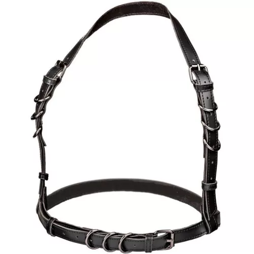 CALEXOTICS - Euphoria Plus Size – dizájnos kõtö harness fekete