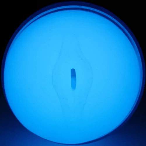Kiiroo Maszturbátor Sötétben világító, stimuláló 22 cm áttetsző