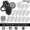 ADDICTED TOYS LOCKED – láncos pénisz ketrec 10,5 cm