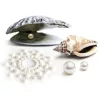 Bijoux Indiscrets Mimi Pearl Golden – prémium gyöngy vibrátor