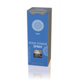   SHIATSU PENIS POWER SPRAY FOR MEN JAPANESE MINT & BAMBOO - 30 ML